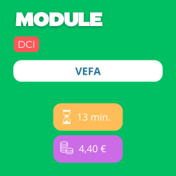 Module - VEFA (DCI)