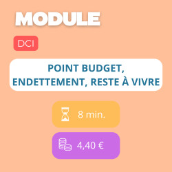 Module - Point budget, Endettement, reste à vivre (DCI)