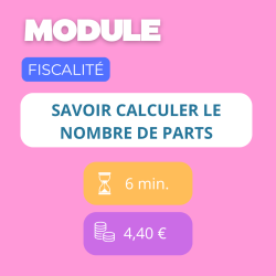 Formation en ligne : Maîtriser le Conseil Client en Optimisation Fiscale et Gestion des Placements