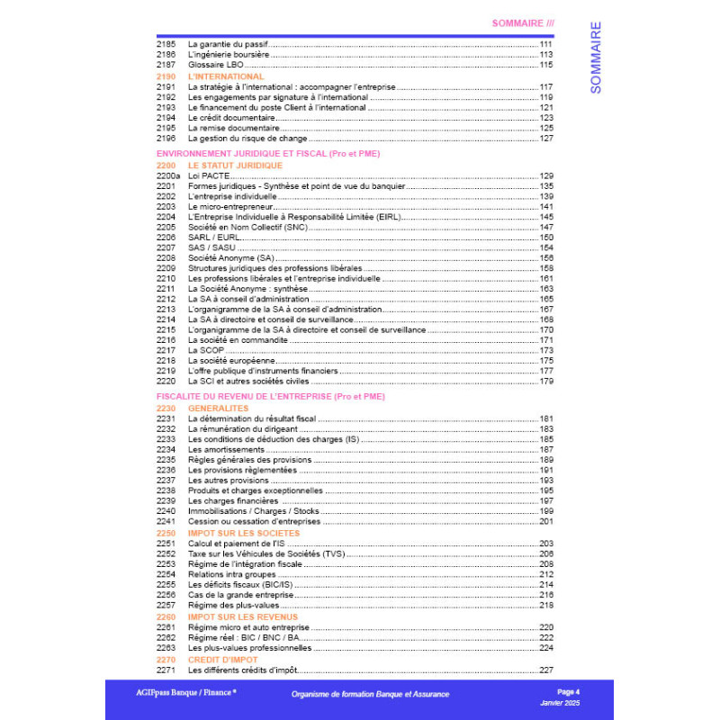E-book du marché des professionnels et de l'entreprise 2025