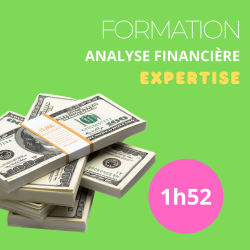 Formation Analyse Financière – Niveau Expertise : Maîtrisez les outils avancés d'analyse financière