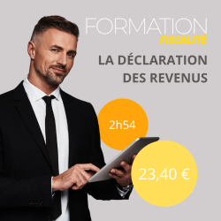 Formation - La déclaration des revenus