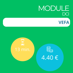 Module - VEFA (DCI)