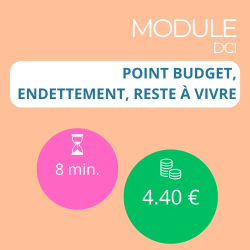 Module - Point budget, Endettement, reste à vivre (DCI)