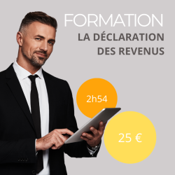 Formation - La déclaration des revenus