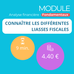 Module -  Connaître les différentes liasses fiscales (ANAFI-F)