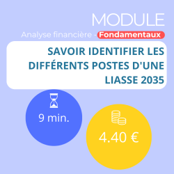 Module -   Savoir identifier les différents postes d'une liasse 2035 (ANAFI-F)