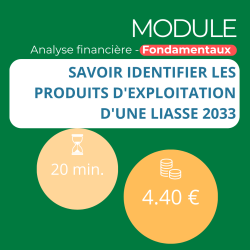 Module - Savoir identifier les produits d'exploitation d'une liasse 2033 (ANAFI-F)