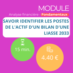 Module - Savoir identifier les postes de l'actif d'un bilan d'une liasse 2033 (ANAFI-F)