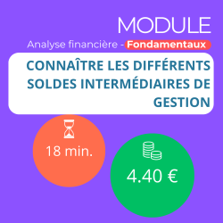 Module - Connaître les différents Soldes Intermédiaires de Gestion (ANAFI-F)