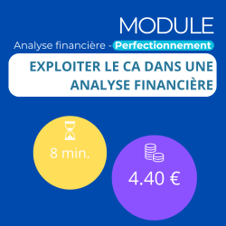 Module - Exploiter le CA dans une analyse financière (ANAFI-P)
