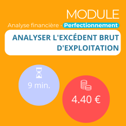 Module - Analyser l'excédent Brut d'Exploitation (ANAFI-P)
