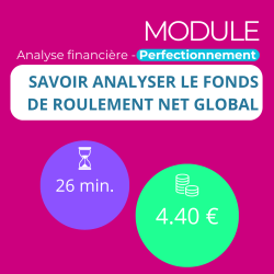 Module - Savoir analyser le Fonds de Roulement Net Global (ANAFI-P)