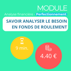 Module - Savoir analyser le Besoin en Fonds de Roulement (ANAFI-P)