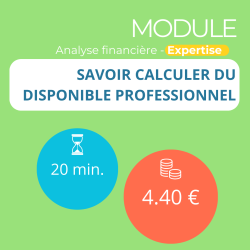 Module - Savoir calculer du disponible professionnel (ANAFI-E)