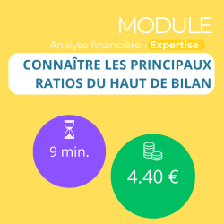 Module - Connaître les principaux ratios du haut de bilan (ANAFI-E)