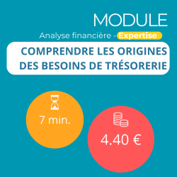 Module - Comprendre les origines des besoins de trésorerie (ANAFI-E)