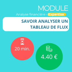 Module - Savoir analyser un tableau de flux (ANAFI-E)