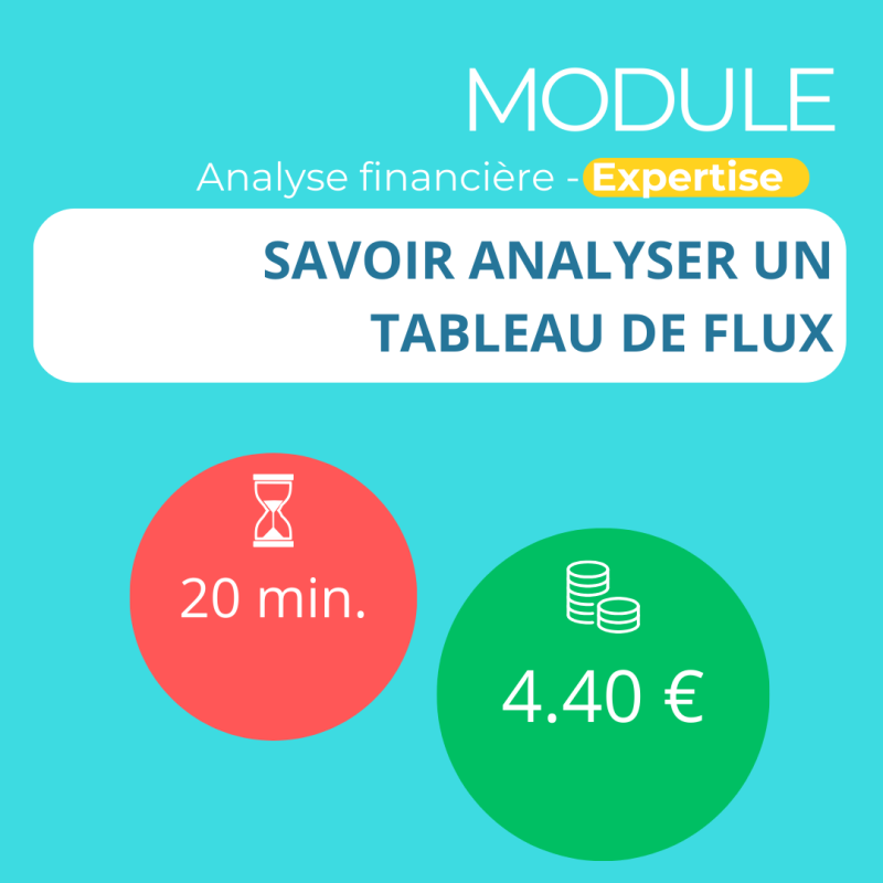 Module - Savoir analyser un tableau de flux (ANAFI-E)