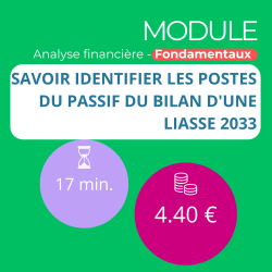 Module - Savoir identifier les postes du passif du bilan d'une liasse 2033 (ANAFI-F)