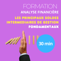 Formation - Analyse financière des entreprises - Les principaux soldes intermédiaires de gestion