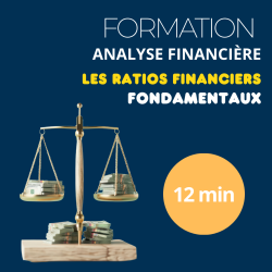 Formation - Analyse financière des entreprises - Les ratios financiers