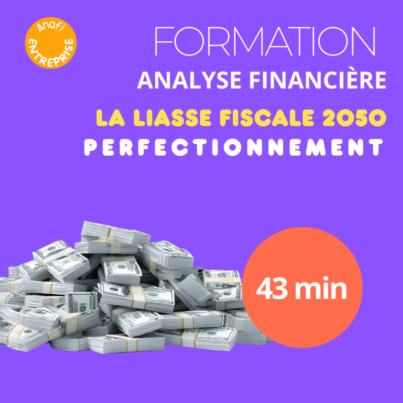 Formation - Analyse financière des entreprises - La liasse fiscale 2050